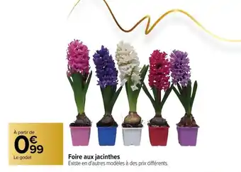 Carrefour Foire aux jacinthes offre