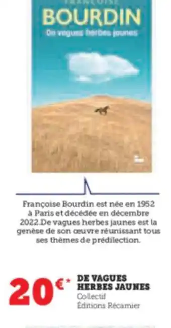 Hyper U DE VAGUES HERBES JAUNES offre