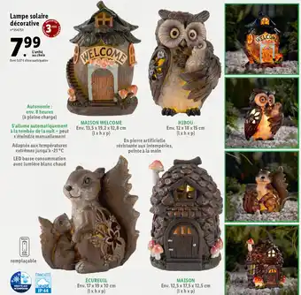 Lidl Lampe Solaire Décorative offre