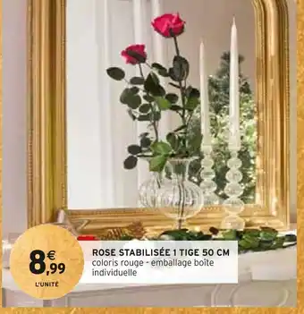 Intermarché Rose stabilisée 1 tige 50 cm offre