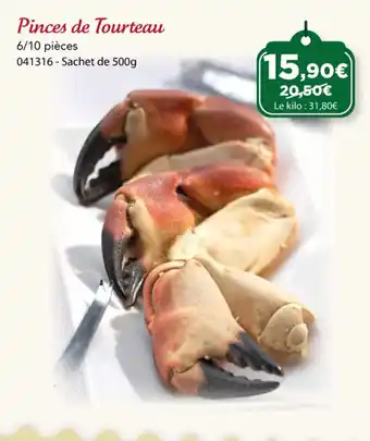 Pinces de Tourteau