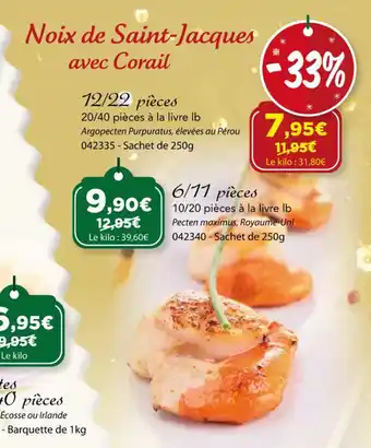 Gel 2000 Noix de Saint-Jacques offre