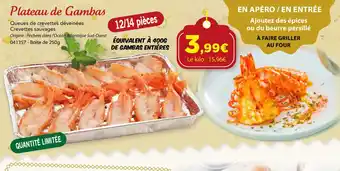 Gel 2000 Plateau de Gambas offre