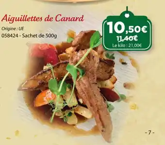 Gel 2000 Aiguillettes de Canard offre