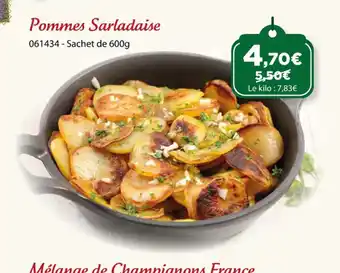 Gel 2000 Pommes Sarladaise offre