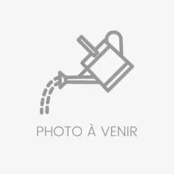 Jardiland Voile ombrage 3 x 4 taupe offre