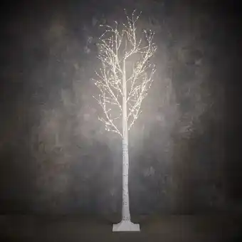 Bouleau ic 750led ip44 avec minuteur -pvc-blanc- h210xd100cm