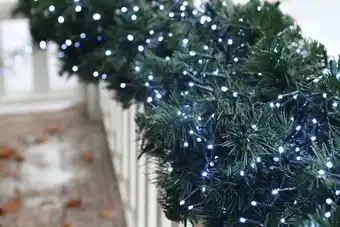 Jardiland Blachère illumination - guirlande led grappe blanc pur l.9 m offre