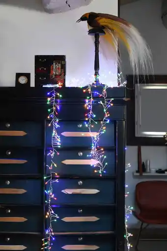 Jardiland Guirlande micro led grappe multicolore l.9 m offre