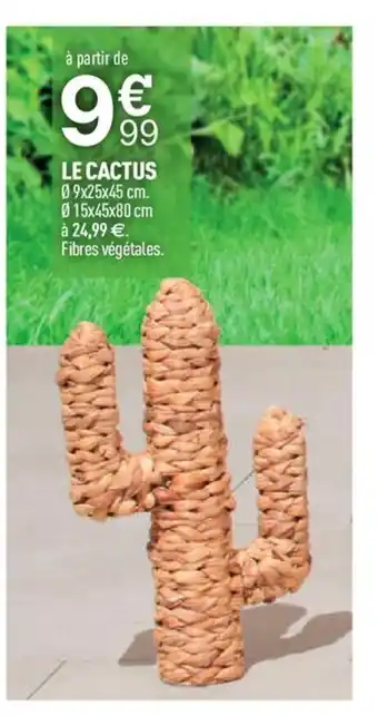 Centrakor Le Cactus offre
