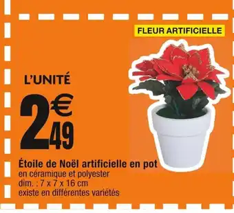 Cora x Carrefour Étoile de Noël artificielle en pot offre