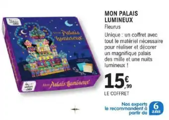 MON PALAIS LUMINEUX Fleurus