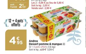 Maximarché Andros Dessert pomme & mangue offre