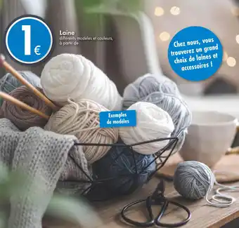TEDi Laine offre