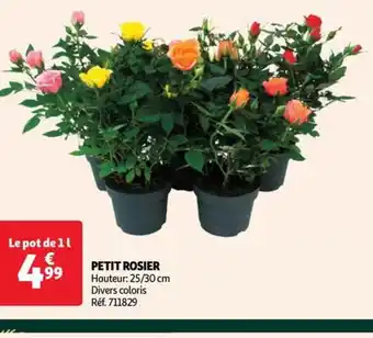 Auchan PETIT ROSIER offre