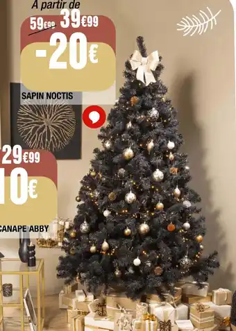 La Foir'Fouille SAPIN NOCTIS offre