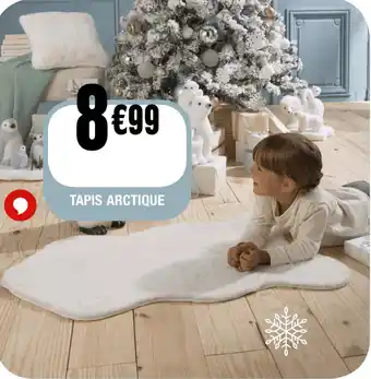 La Foir'Fouille TAPIS ARCTIQUE offre