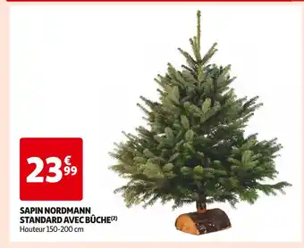 Sapin nordmann standard avec bûche