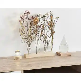 Auchan 1- constellation lumineuse actuel offre