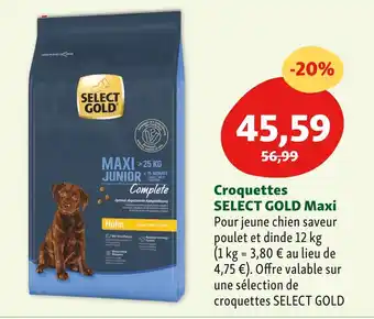 Maxi Zoo Select gold croquettes maxi offre