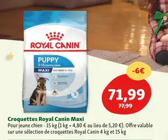 Maxi Zoo Royal canin croquettes maxi offre