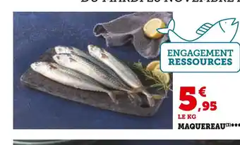 Super U Maquereau offre
