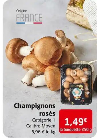 Colruyt Champignons rosés offre