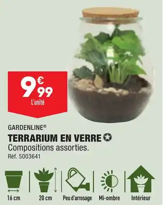 ALDI TERRARIUM EN VERRE offre