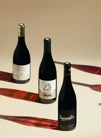 JEAN-PAUL Brun Hug GAMAY 2020