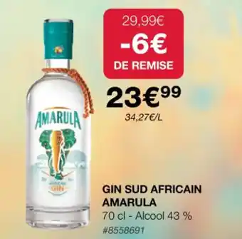 GIN SUD AFRICAIN AMARULA