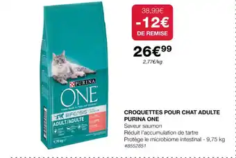Costco CROQUETTES POUR CHAT ADULTE PURINA ONE offre