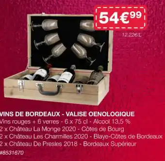 Costco VINS DE BORDEAUX - VALISE OENOLOGIQUE offre
