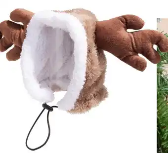 Bonnet renne