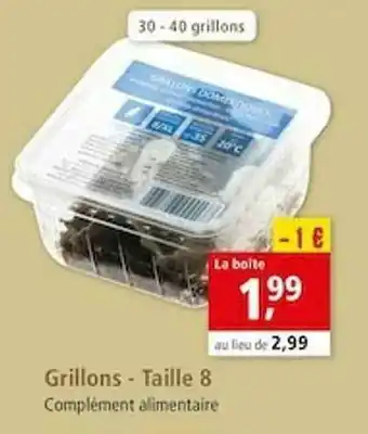 Grillons - Taille 8