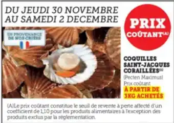 COQUILLES SAINT-JACQUES CORAILLÉES (Pecten Maximus) Prix coutant À PARTIR DE 3KG ACHETÉS