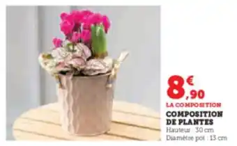 Hyper U COMPOSITION DE PLANTES offre