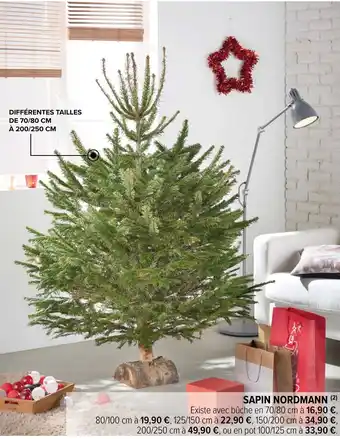 Carrefour Market SAPIN NORDMANN (²) offre