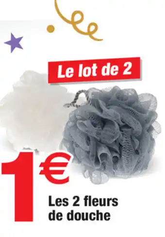 Bazarland Les 2 fleurs de douche offre