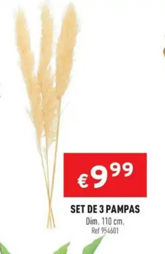 Set de 3 pampas