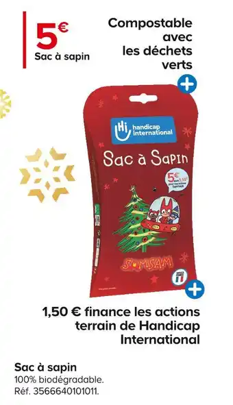 Sac Ă sapin