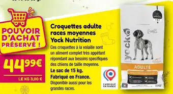 Point Vert Yock nutrition croquettes adulte races moyennes offre