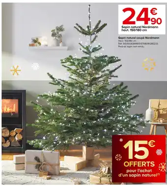 Sapin naturel coupé nordmann