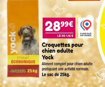 Point Vert Yock croquettes pour chien adulte offre
