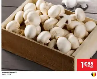 CHAMPIGNONS