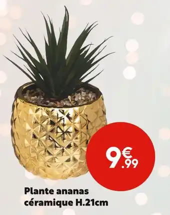 Maxi Bazar Plante ananas offre