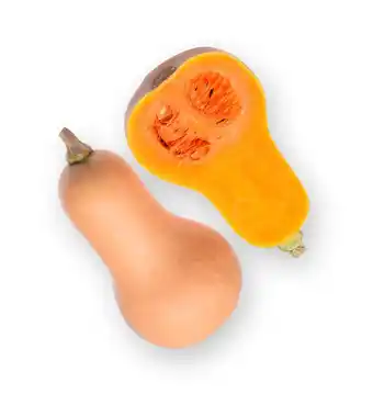 Butternut