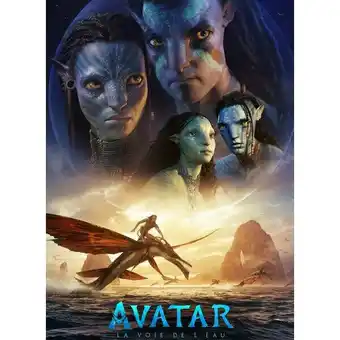 Carrefour Dvd avatar la voie de l'eau ou dvd avatar édition remastérisée offre