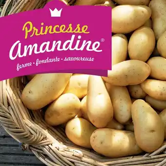 Carrefour Market Pommes de terre de consommation à chair ferme blanche offre