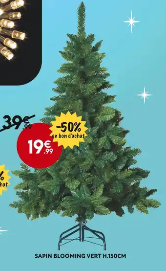 Sapin blooming vert h.150cm