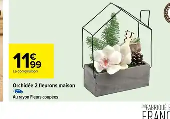 Carrefour Orchidée 2 fleurons maison offre